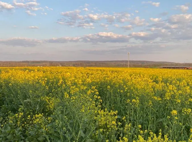 Apartment Confortable Duplex Au Coeur De La Campagne Picarde A 1h De Paris Biermont